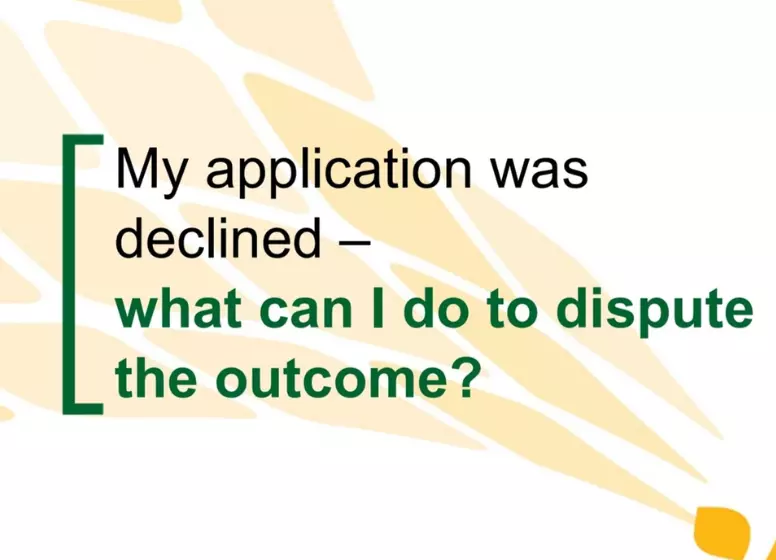 What To Do If Your R350 Grant Application Is Declined